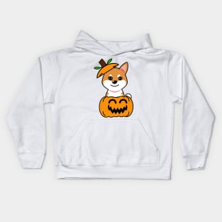 Funny orange dog is in a pumpkin Kids Hoodie